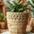 Osłonka na doniczkę w stylu boho DIY: jak stworzyć naturalną dekorację krok po kroku z praktycznymi wskazówkami